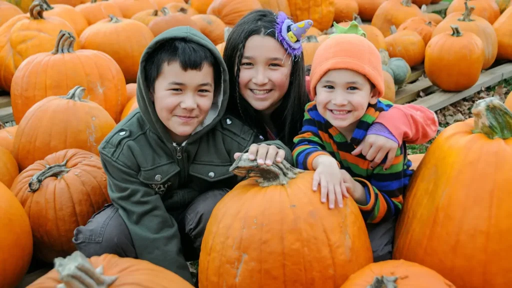 Pumpkin Patch Captions for Instagram