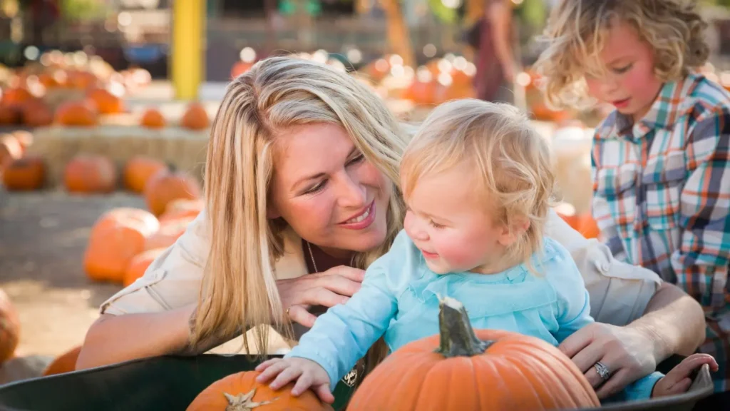 Pumpkin Patch Captions for Instagram