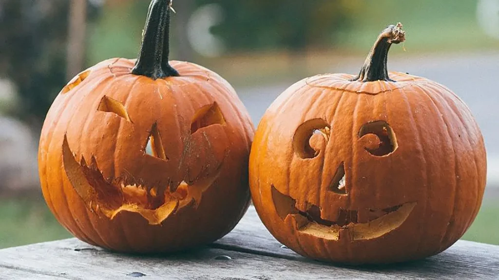 Pumpkin Patch Captions for Instagram