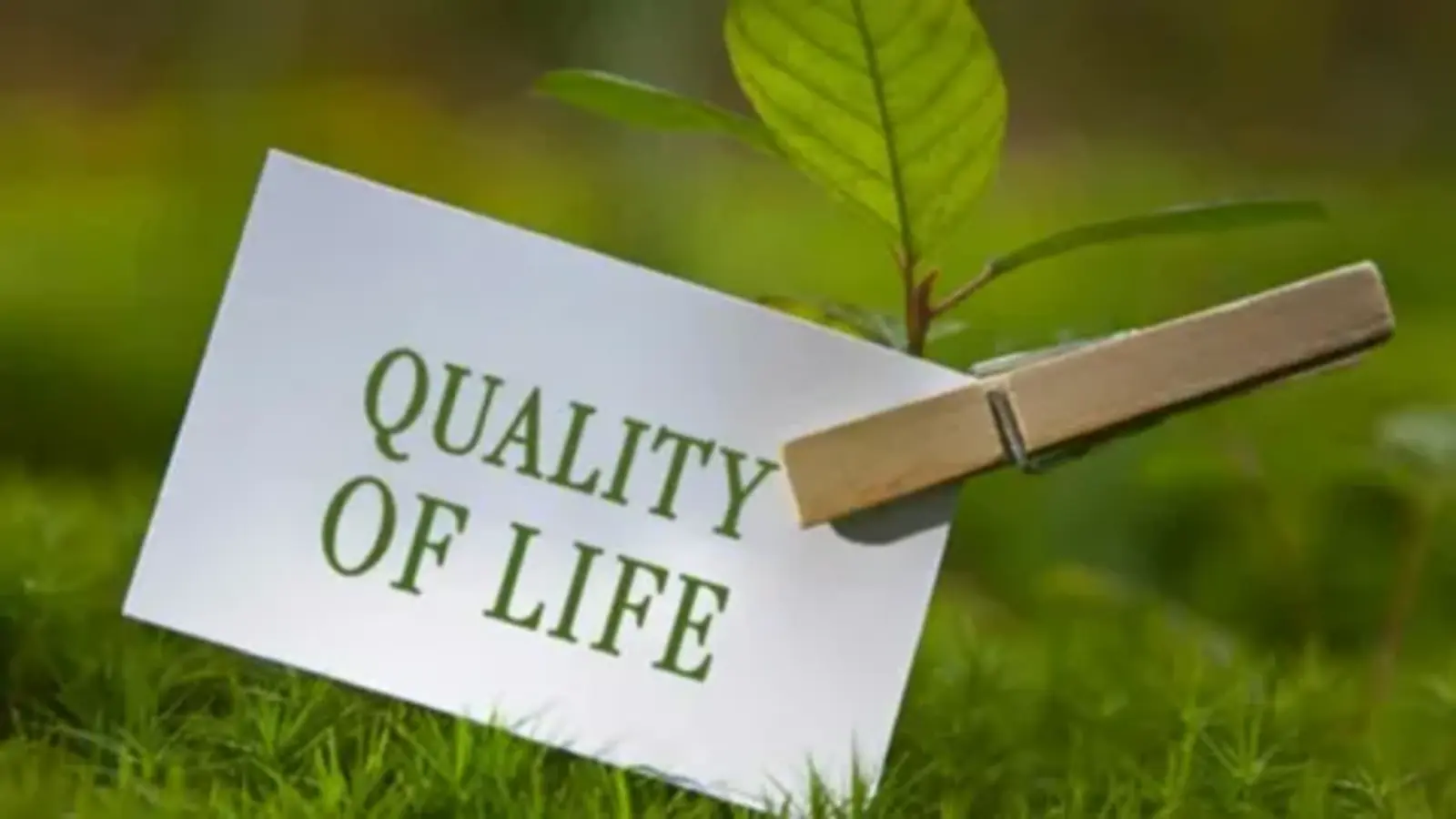 quality of life synonym