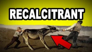 recalcitrant synonym